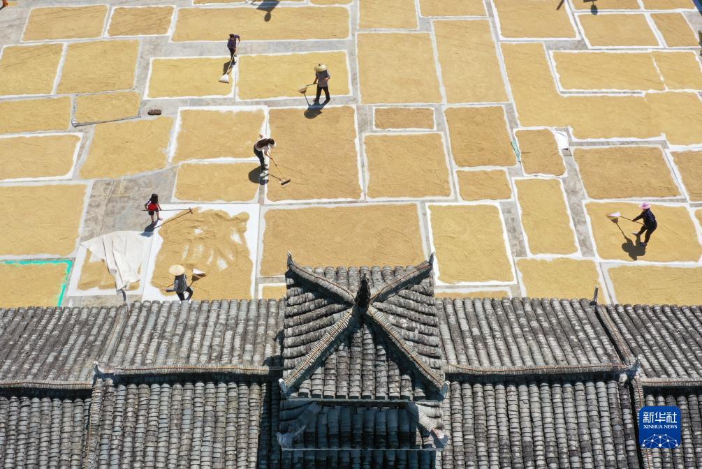 五龙争霸在线下载